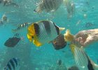 k Bora Bora (55)